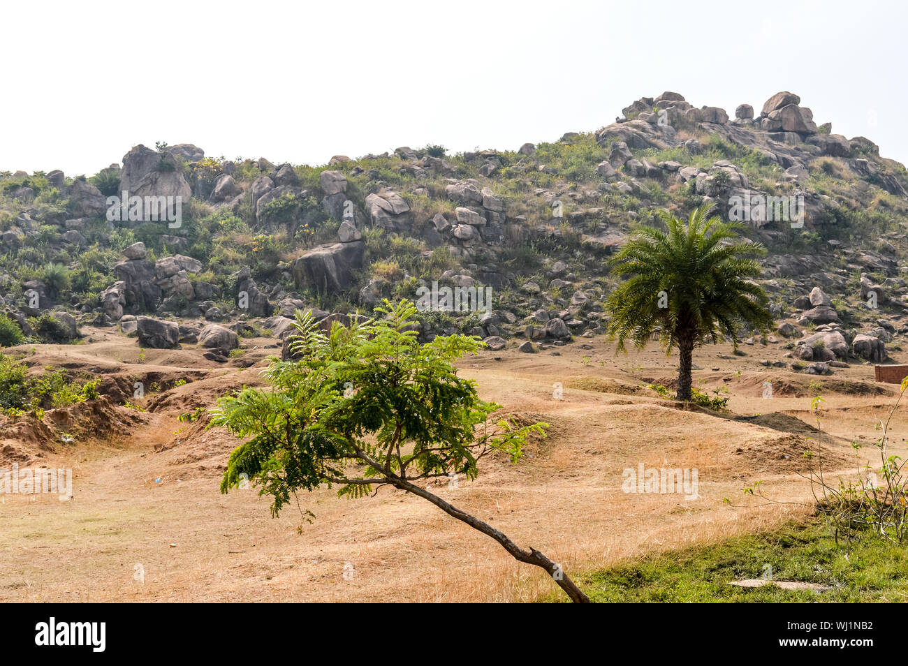 Vista del paesaggio di secco nella zona collinare di Chota Nagpur altopiano di Jharkhand India. Il degrado dei terreni accadere a causa di cambiamenti climatici, che effetti agricola Foto Stock