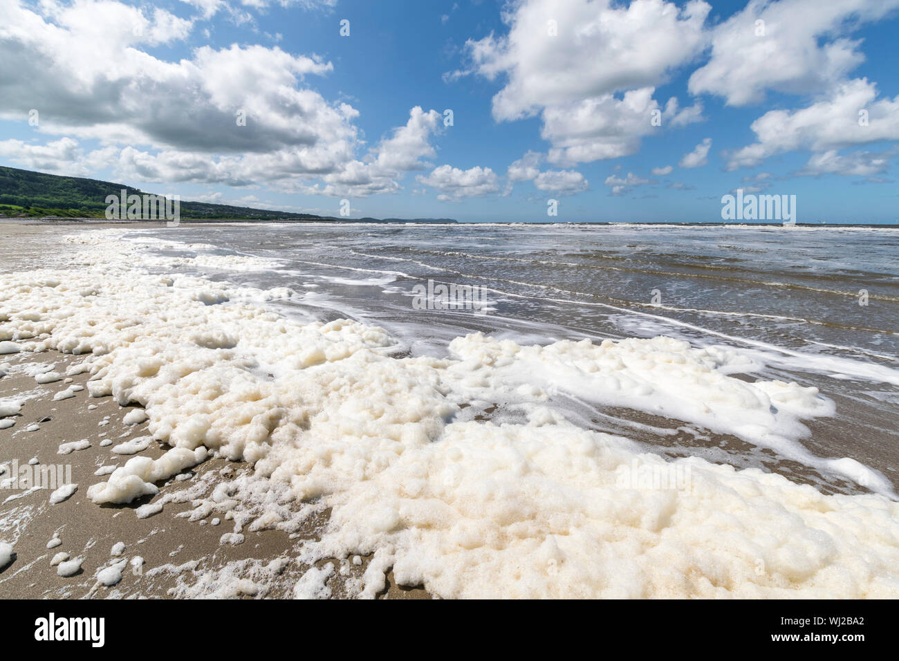 Mare schiumoso creato da fioriture algali su Abergele beach nel Galles del Nord Regno Unito Foto Stock