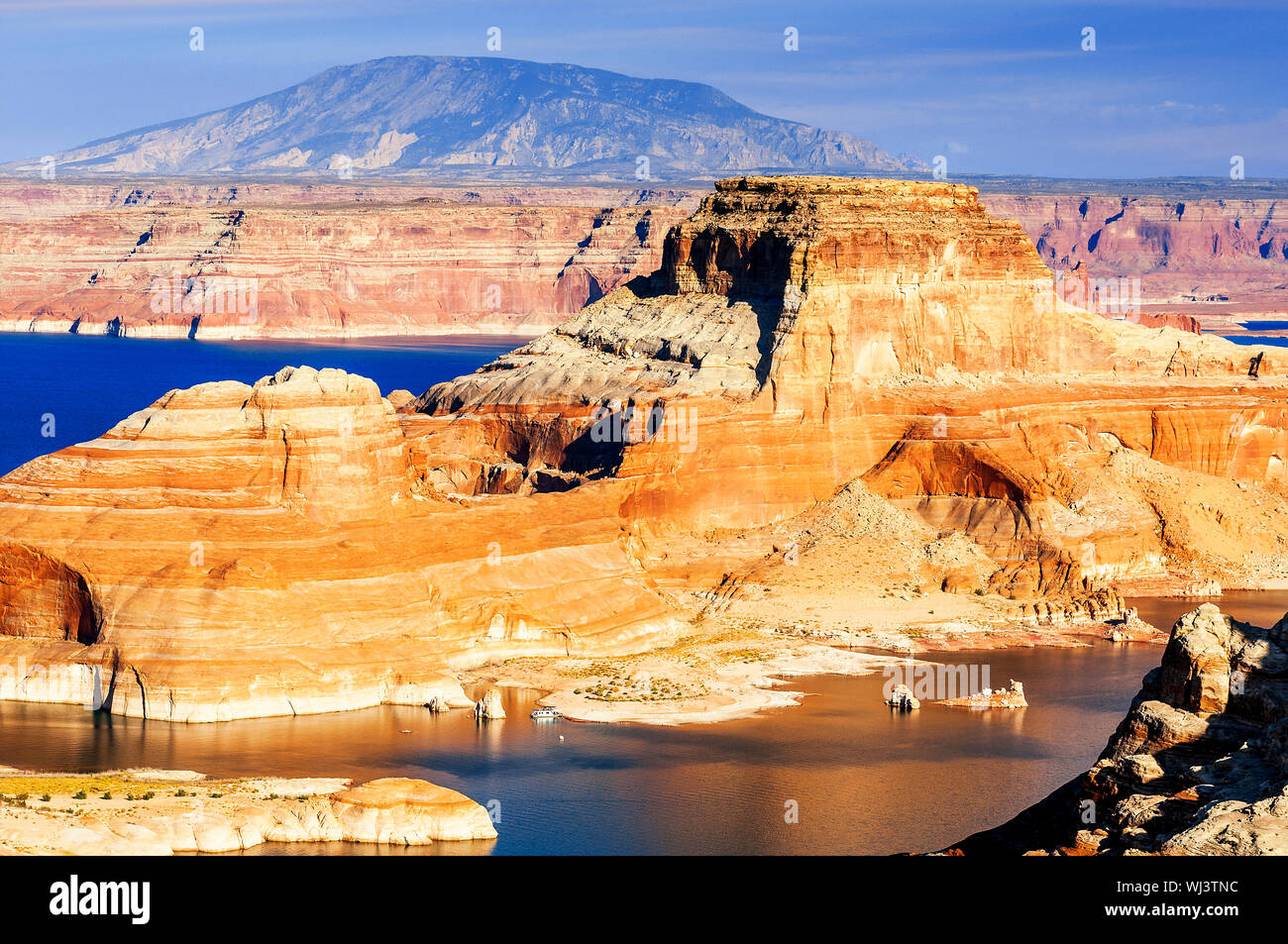 Il Lake Powell e Glen Canyon, Arizona e Utah, Stati Uniti d'America Foto Stock