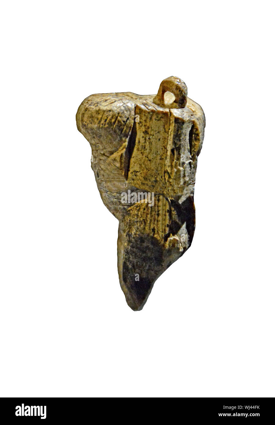 La Venere di Hohle Fels è la più antica immagine indiscusso di un essere umano risalente a 40.000 anni fa. Ella è grasso e grande petto e scolpito dal mammut Foto Stock