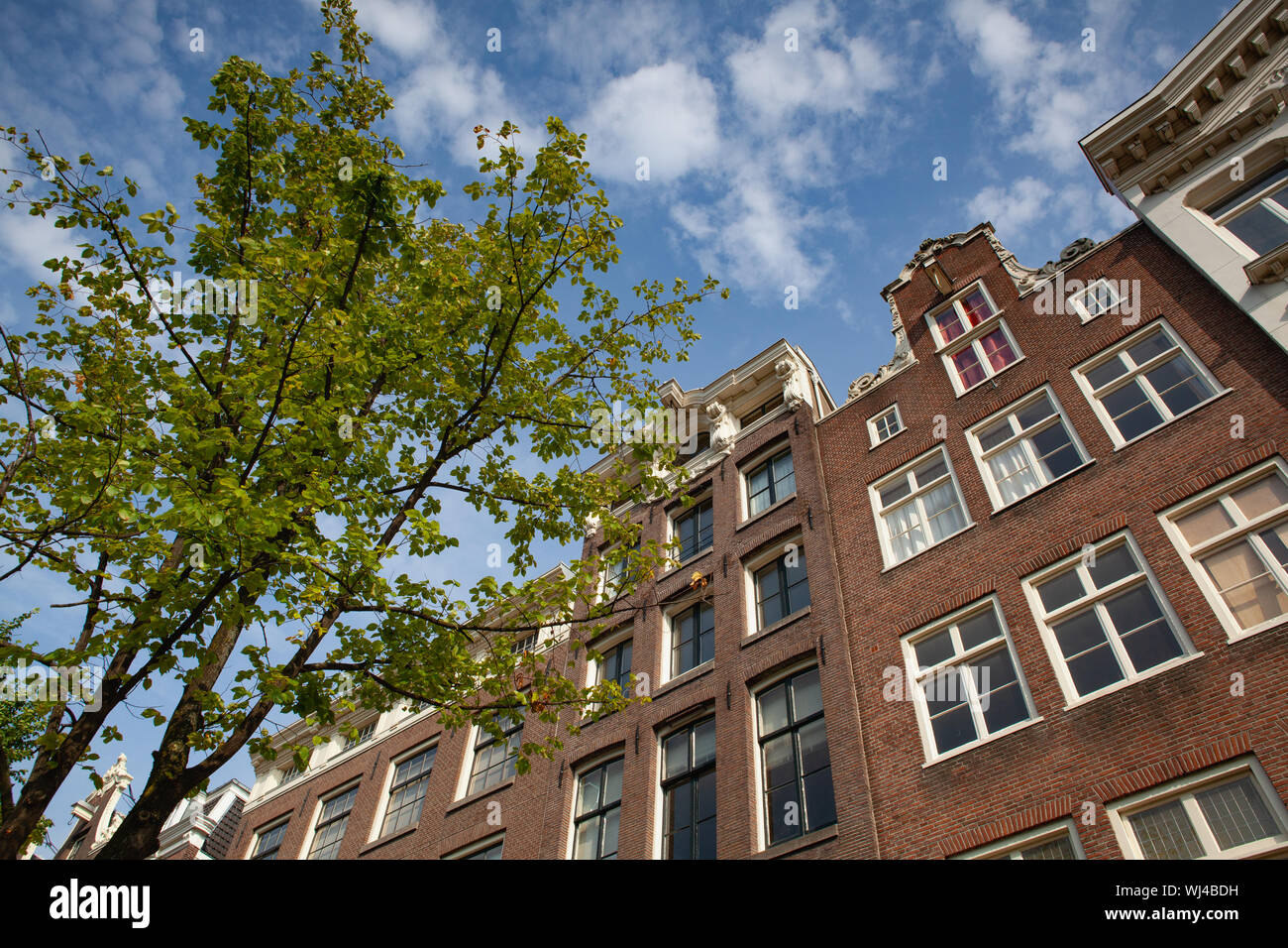 Il dettaglio delle case di Amsterdam, Paesi Bassi. Il rinnovato tipiche facciate di edifici. Foto Stock