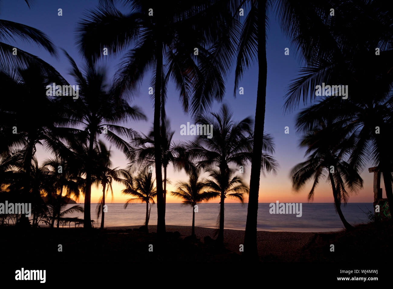 Tranquilla e idilliaca Tropical Ocean Beach con palme al tramonto, Sayulita, Nayarit, Messico Foto Stock