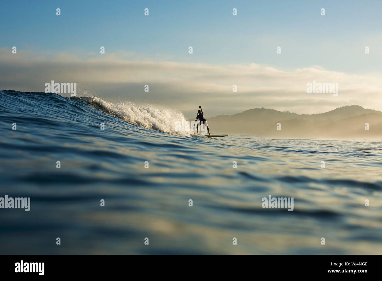 Silhouette paddle boarder a cavallo delle onde oceaniche, Sayulita, Nayarit, Messico Foto Stock