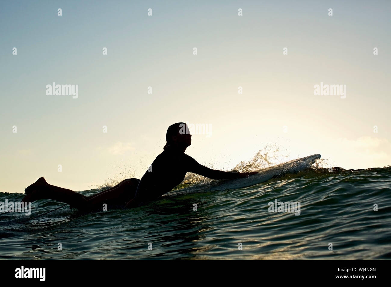 Silhouette surfista femmina paddling out Foto Stock