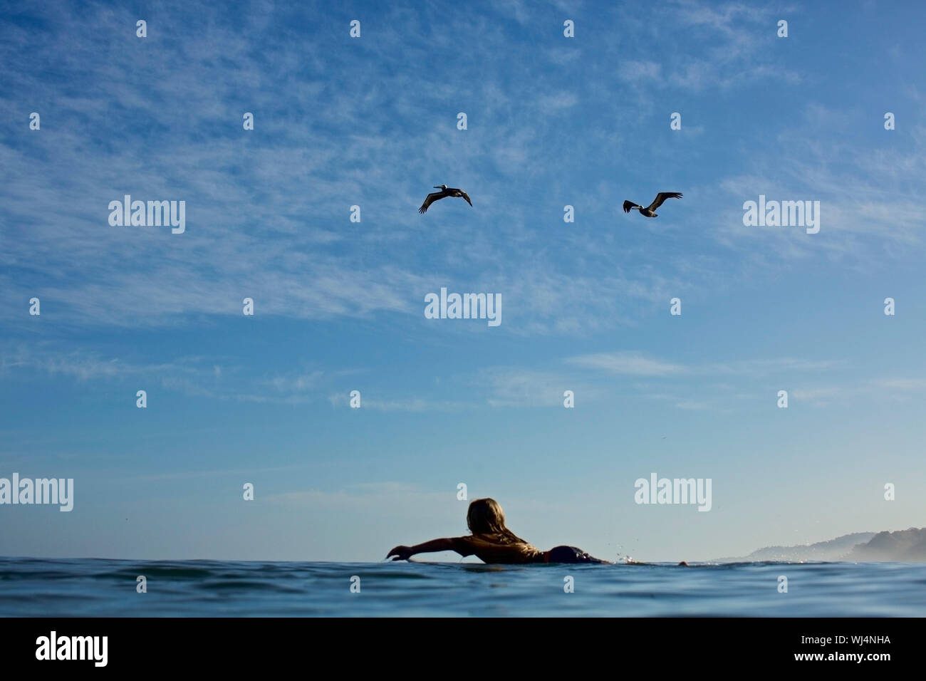 Surfista femmina paddling out sul soleggiato, blu oceano Foto Stock