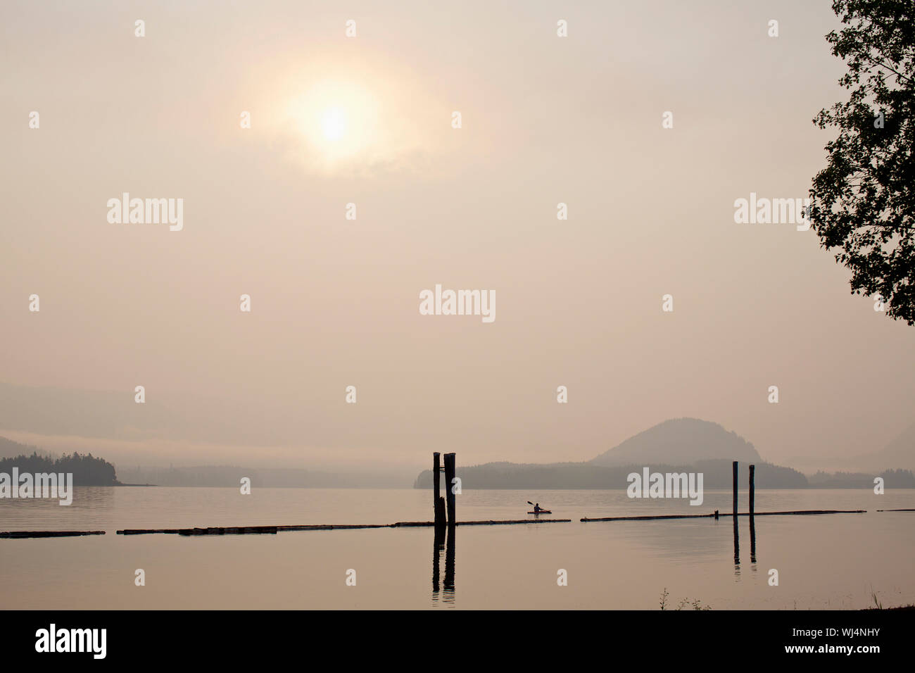 Kayak sul tranquillo lago, lago Cowichan, British Columbia, Canada Foto Stock