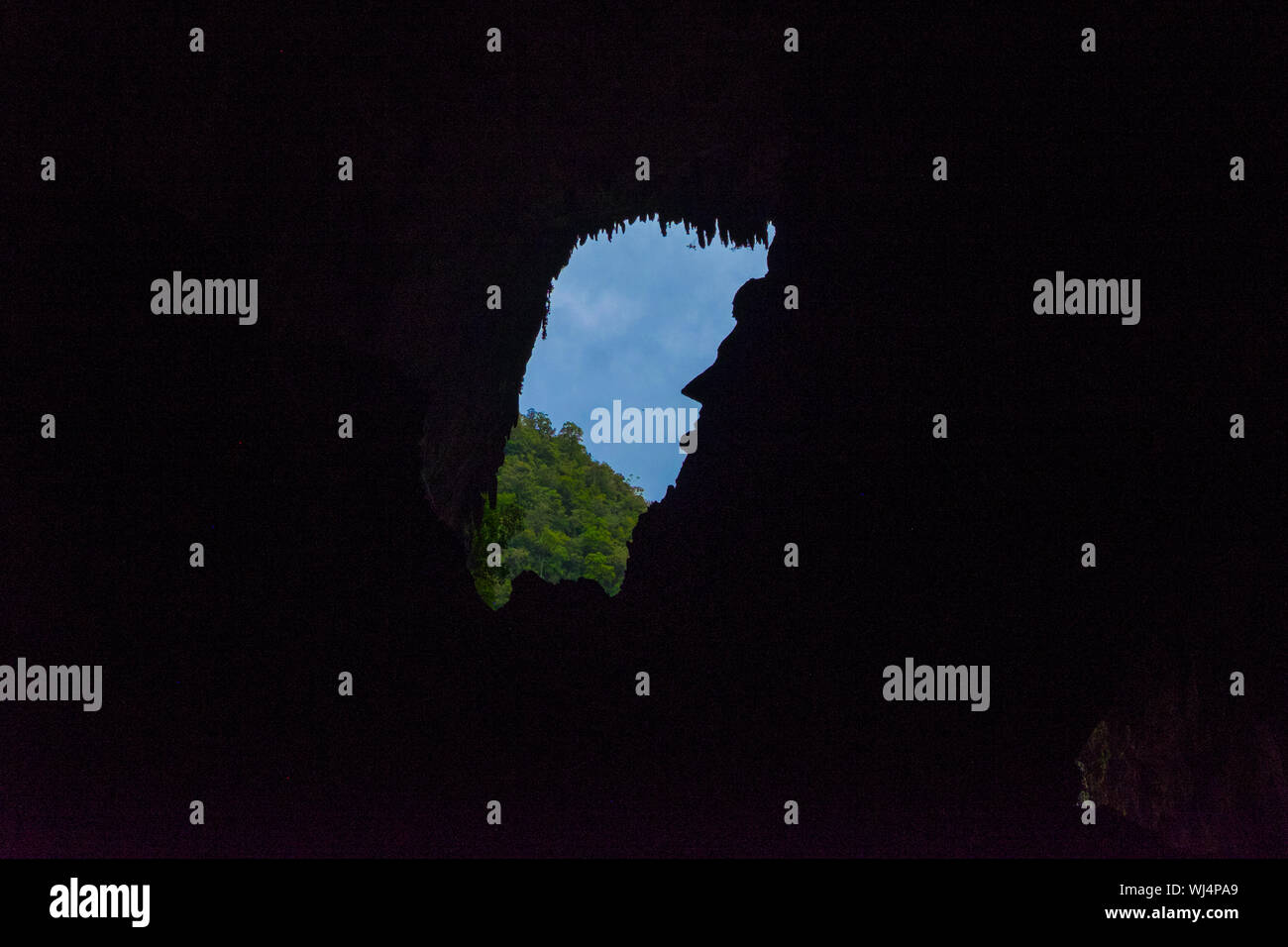 Il celebre profilo volto di Abraham Lincoln, visto nella grotta di cervo in Gunung National Park, Mulu, Sarawak, Borneo Malese. Foto Stock