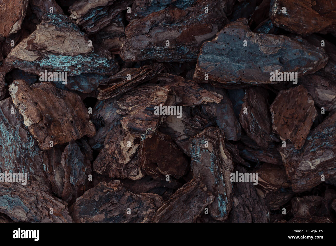 Corteccia Di Pino Marittimo 25-40 Mm 60 Lt- Compo - Acquista Online