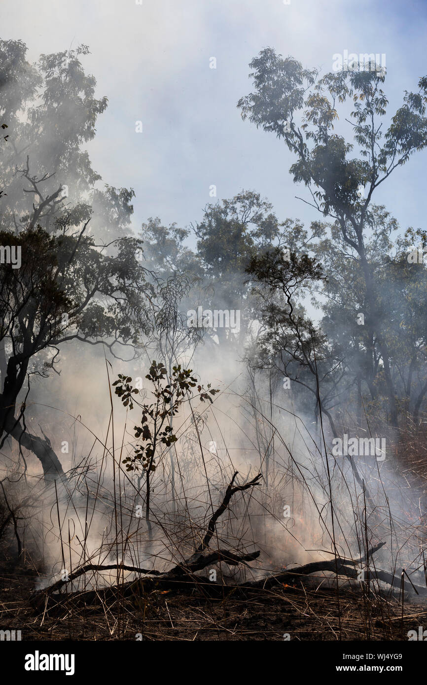 Fumo da covare patch preventiva masterizzare, Kakadu National Park, Australia Foto Stock