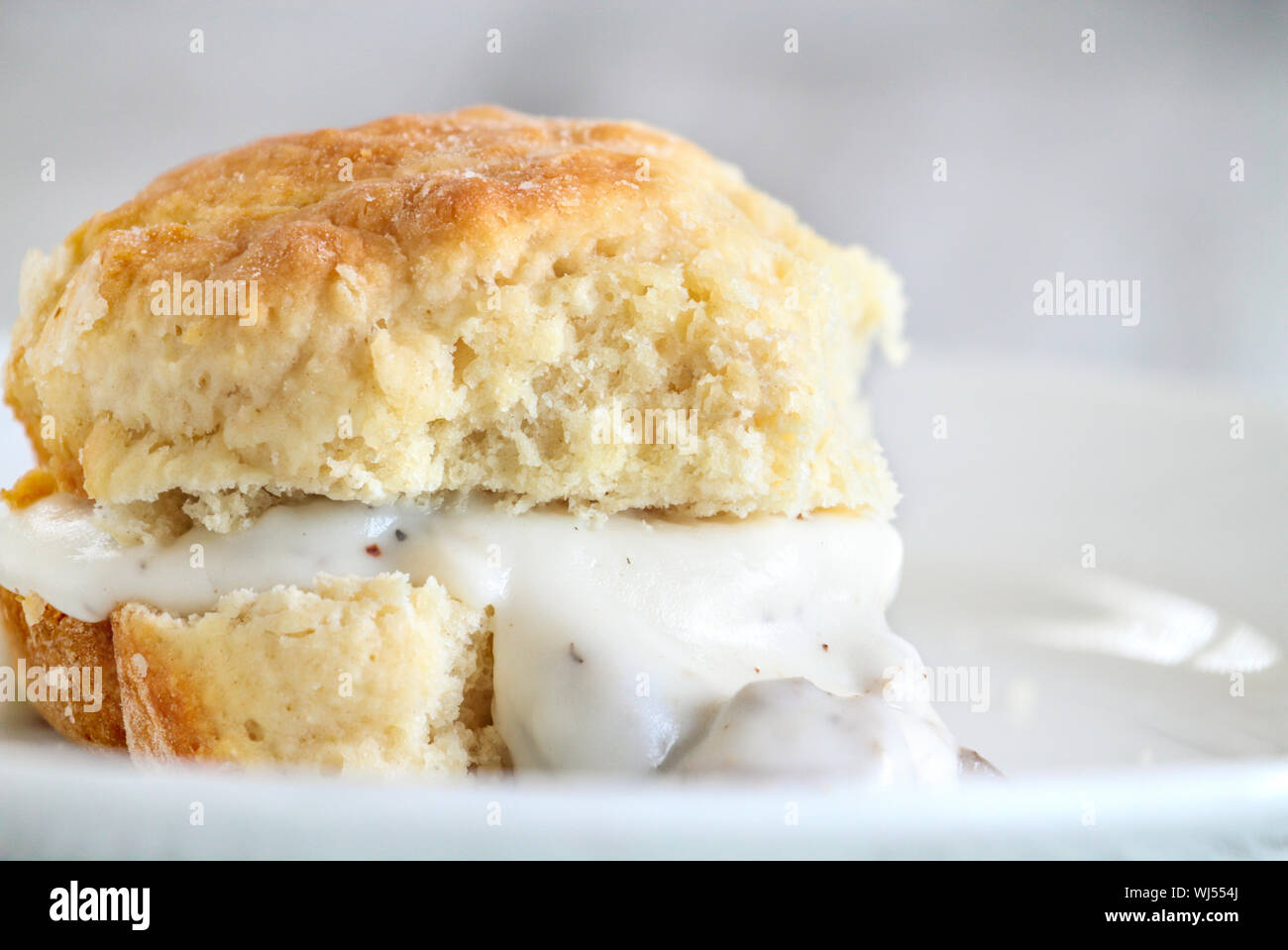 American biscotti da zero servita con bianca spessa sugo di salsiccia. Messa a fuoco selettiva contro uno sfondo bianco. Foto Stock