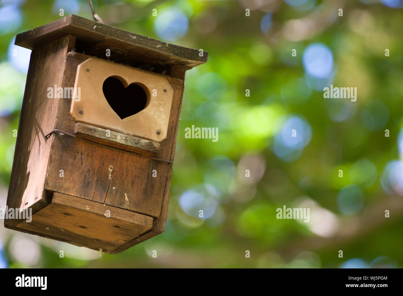 Casa di uccelli appesi dall'albero con il foro di entrata a forma di cuore. Foto Stock