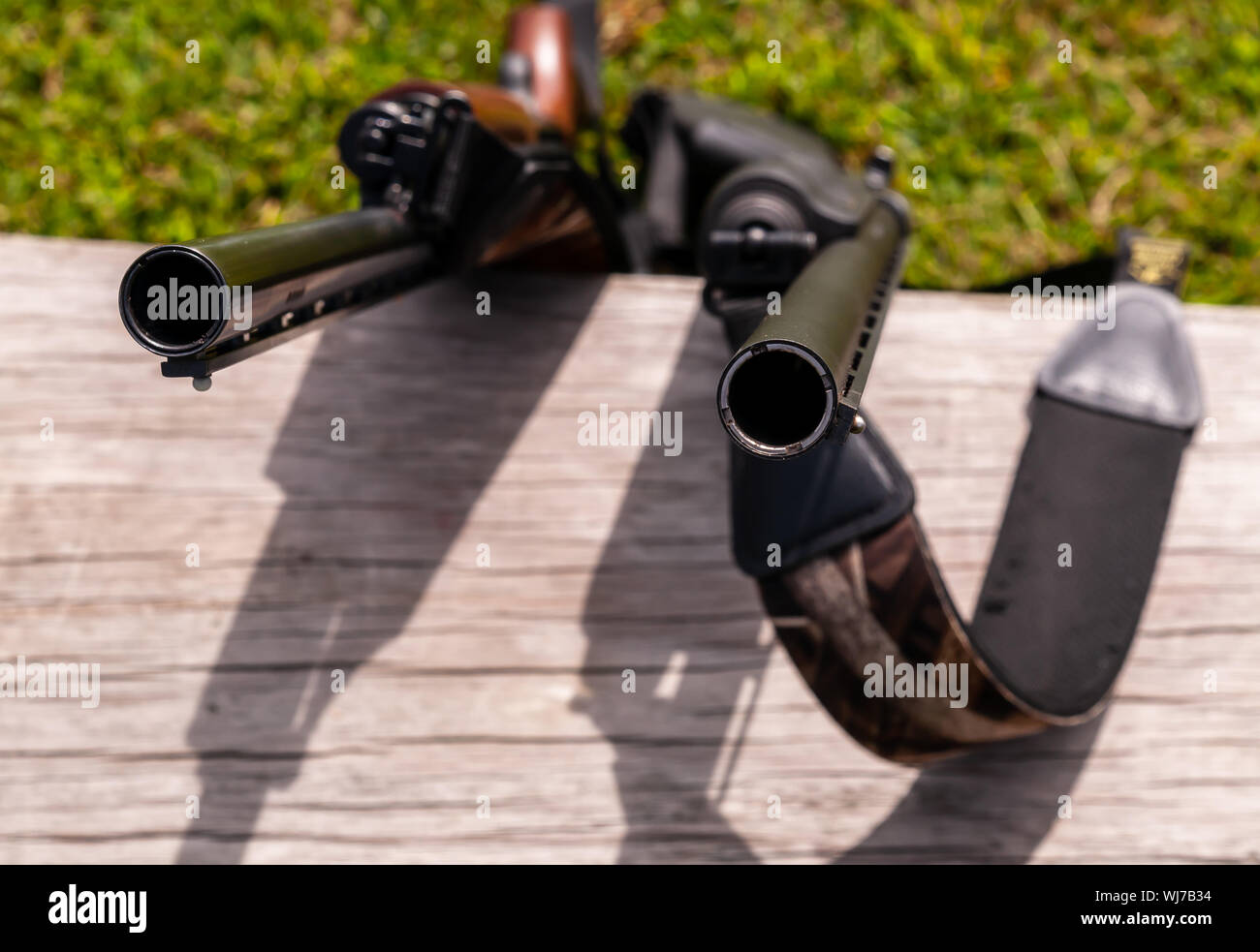 Due fucili appoggiati contro un banco di legno con erba in background Foto Stock