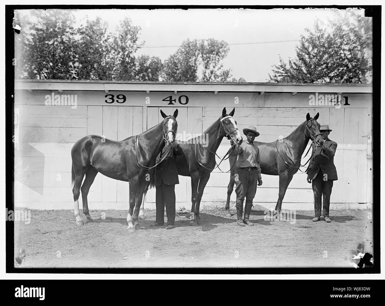 HORSE SHOW Foto Stock