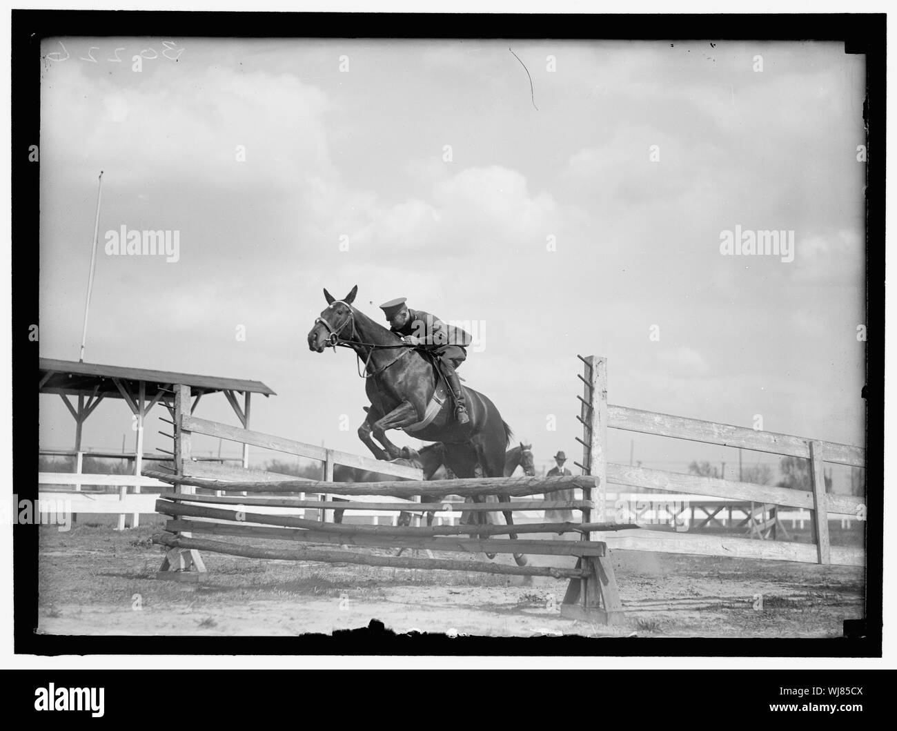 Spettacoli a cavallo. HORSE SHOW MOTIVI Foto Stock