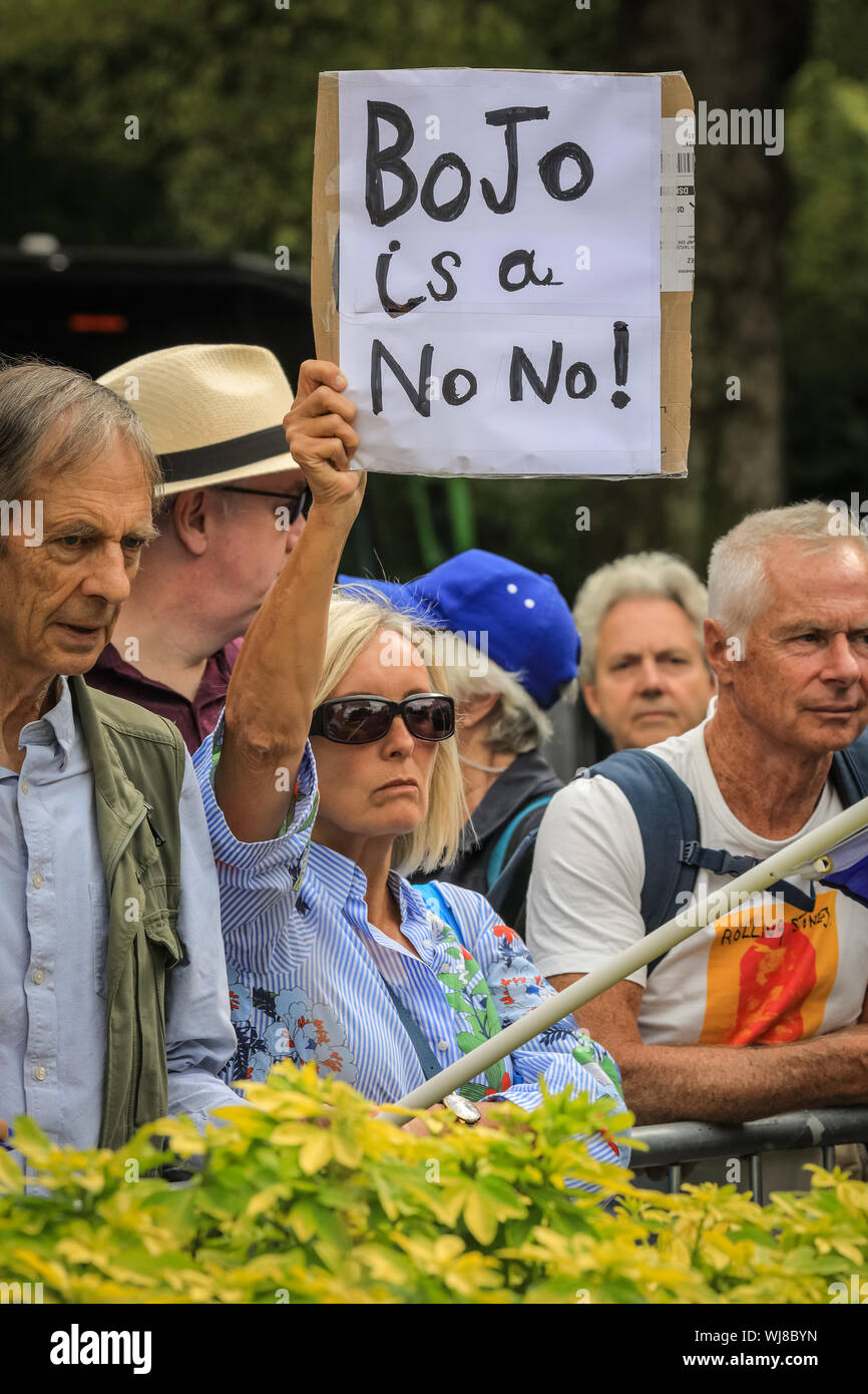 Westminster, Londra, Regno Unito. Regno Unito. 03Sep, 2019. Pro- e manifestanti Anti-Brexit rally al di fuori della sede del parlamento di Westminster il giorno MPs tornare in Parlamento e precedendo di diversi di importanza cruciale delle discussioni e delle votazioni sul potenziale di no-deal Brexit, così come la proroga del Parlamento. Credito: Imageplotter/Alamy Live News Foto Stock