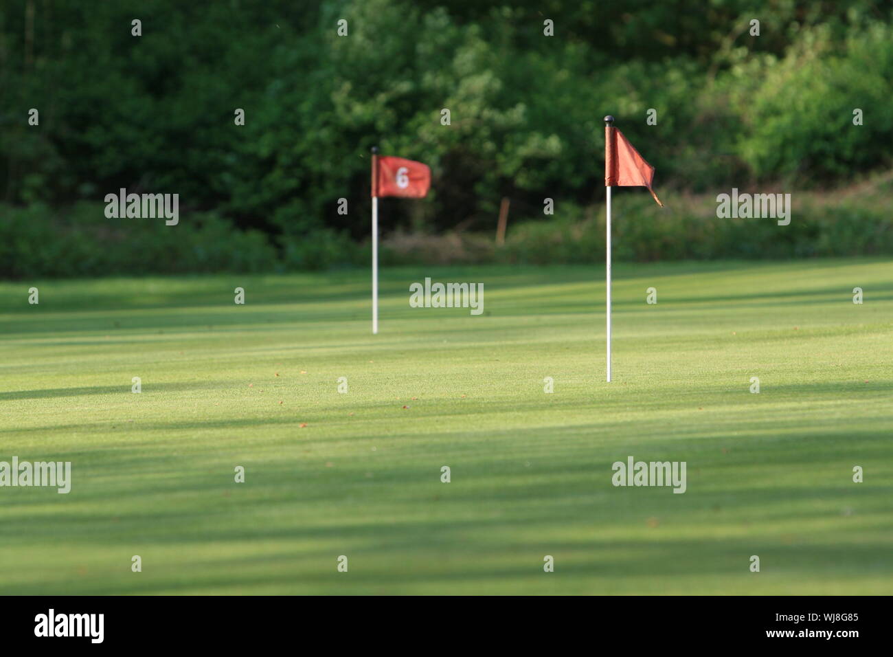 Golfplatz Foto Stock
