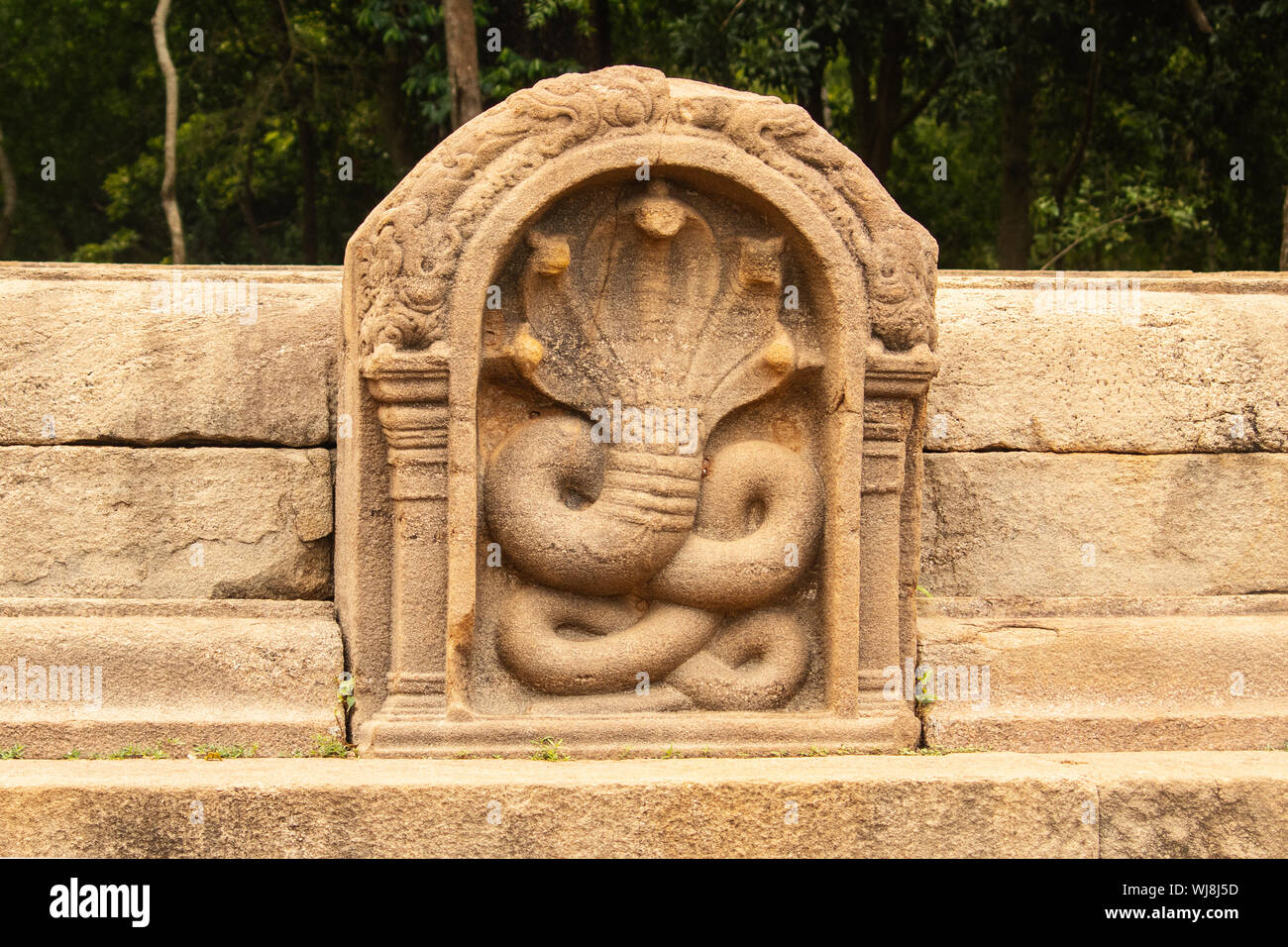 Serpente antico in pietra di guardia in Sri Lanka Foto Stock