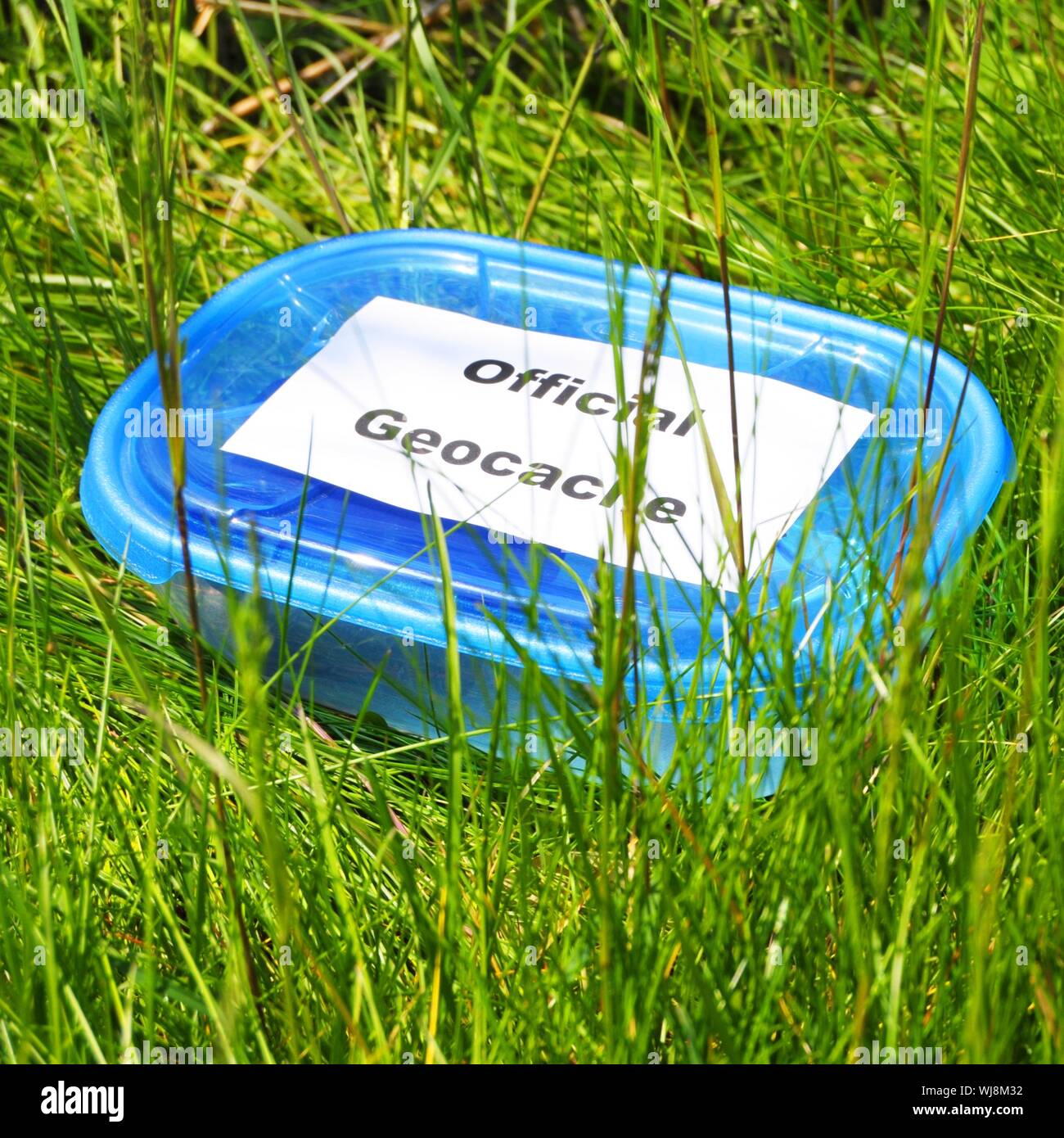 Concetto di geocaching con blue geocache box che mostra gli sport outdoor concept Foto Stock