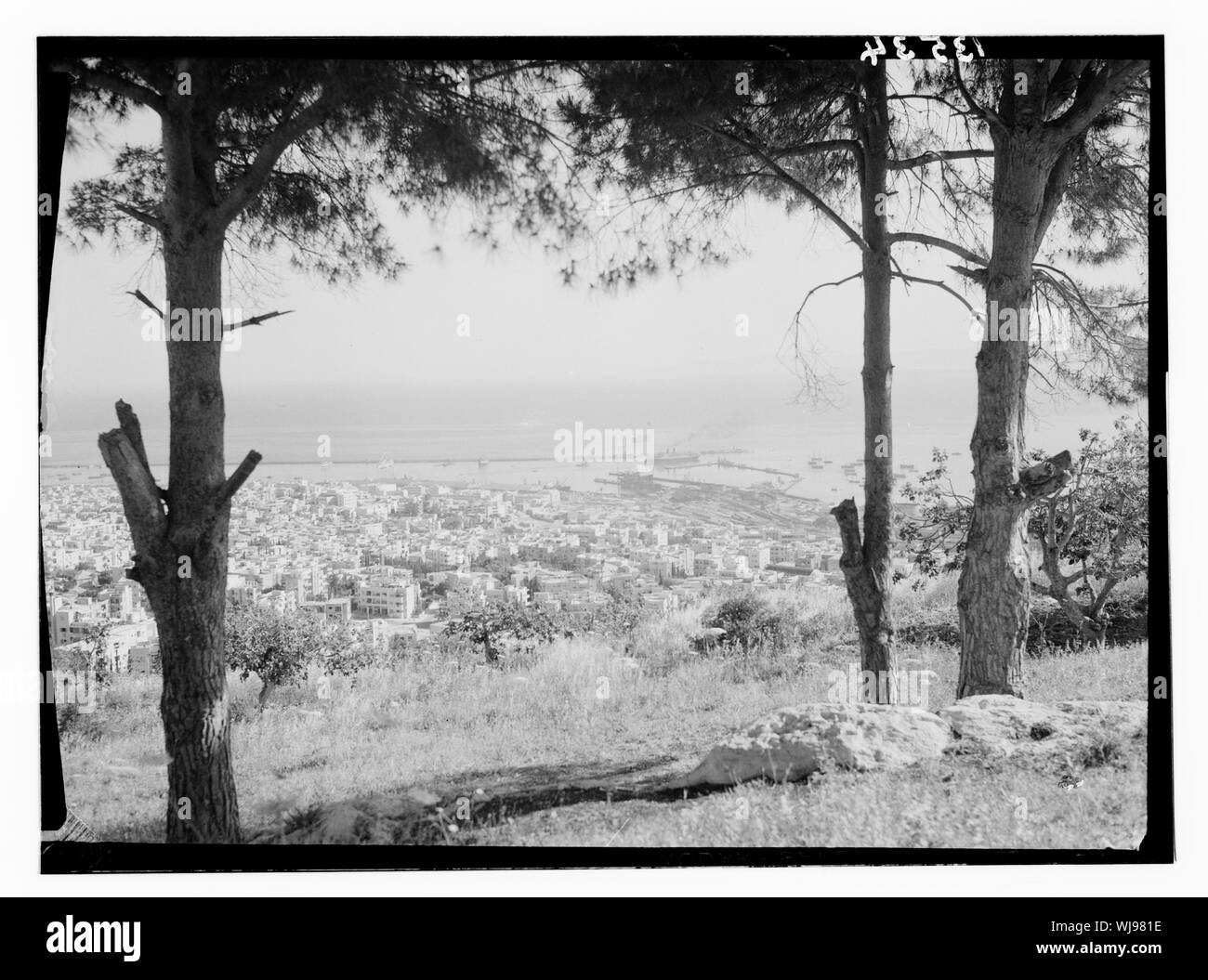 Velocità datazione Haifa
