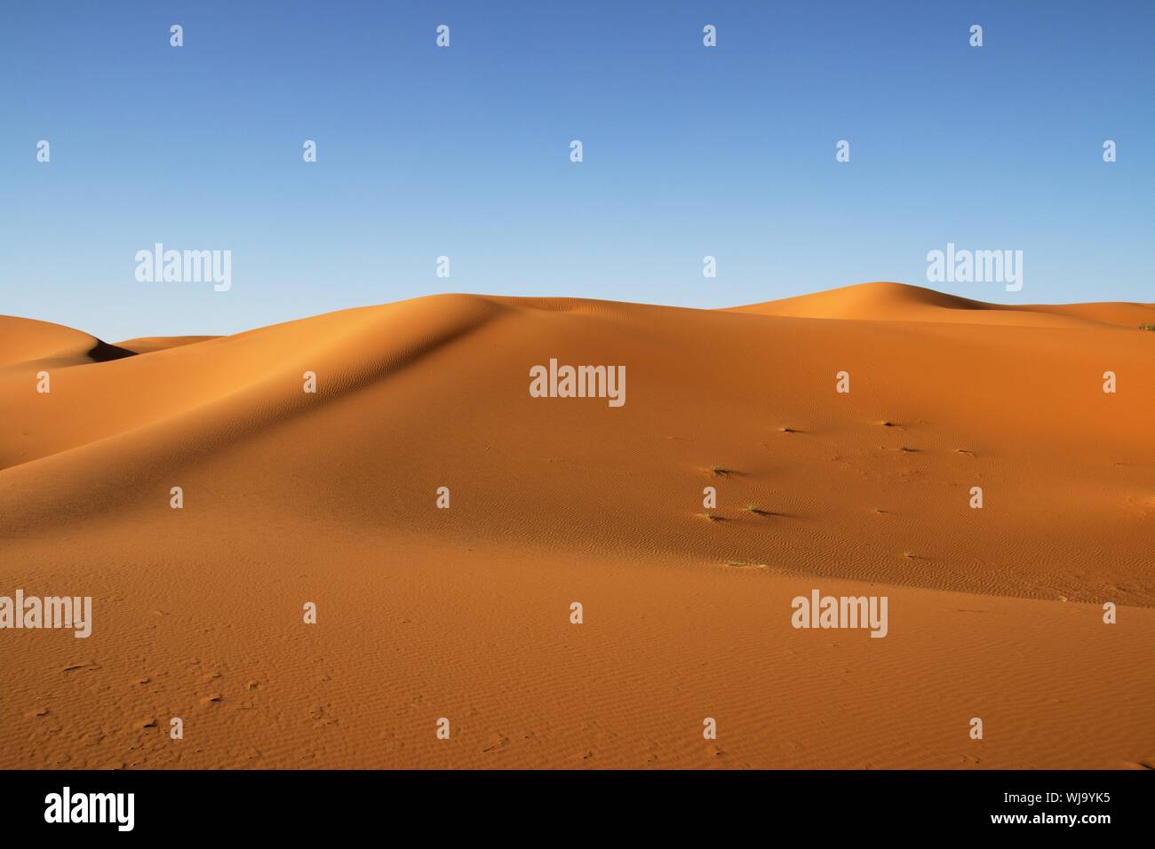 Sahara dune di sabbia di Erg Chebbi Marocco Foto Stock