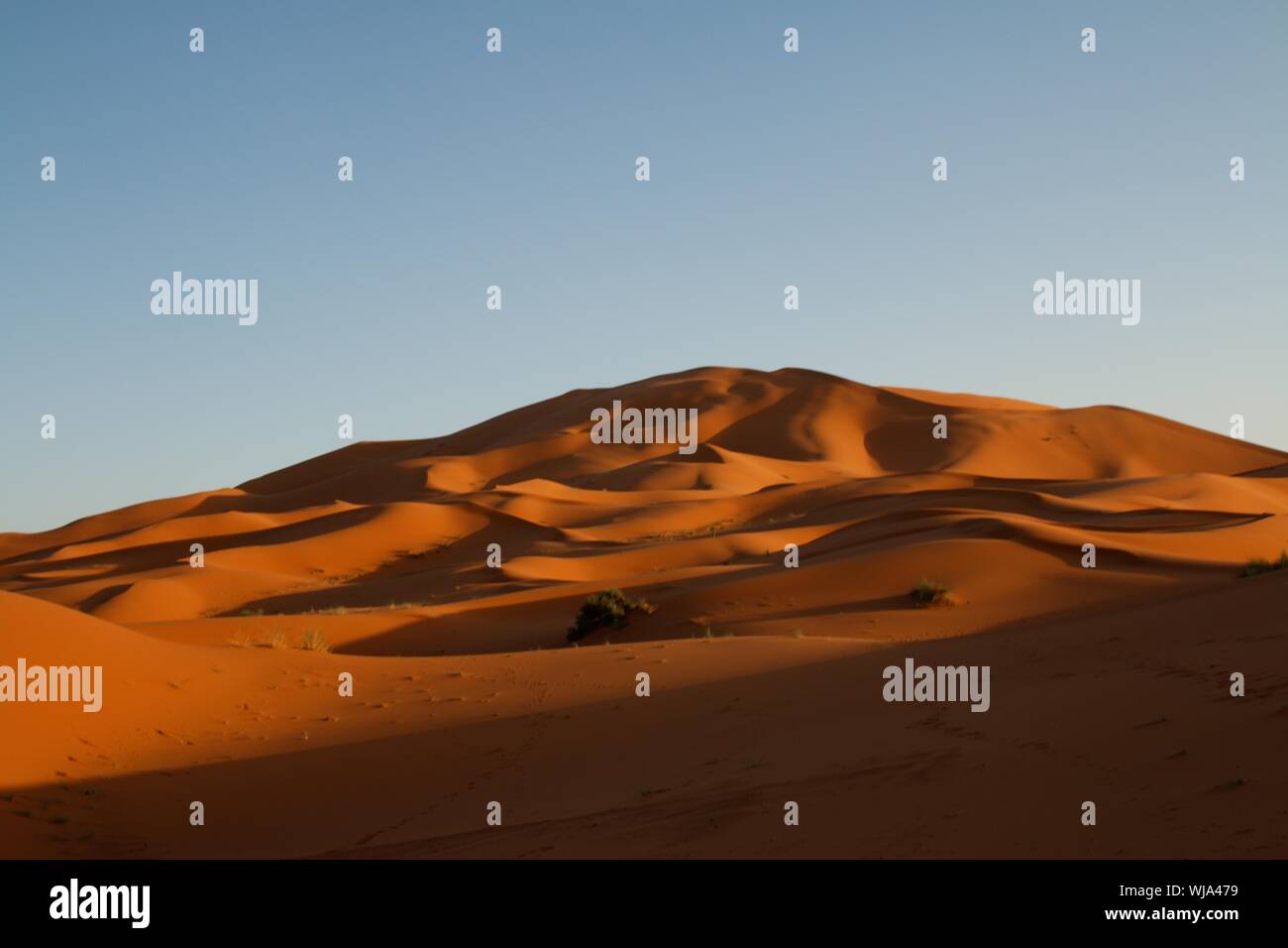 Sahara dune di sabbia di Erg Chebbi Marocco Foto Stock