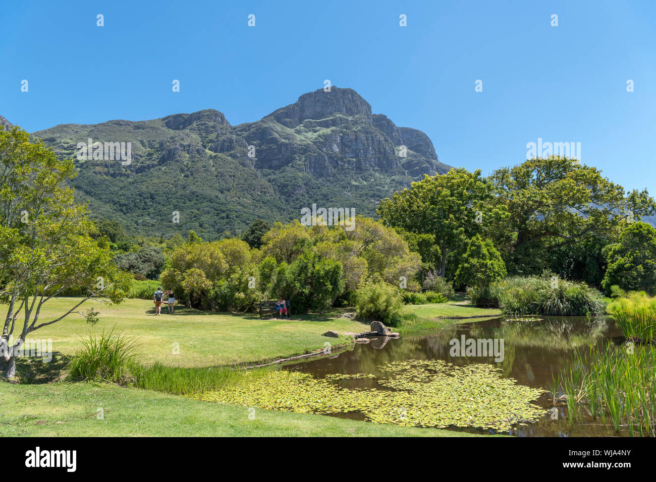 Stagno in Kirstenbosch National Botanical Garden guardando verso il fronte orientale di Table Mountain e Cape Town, Western Cape, Sud Africa Foto Stock