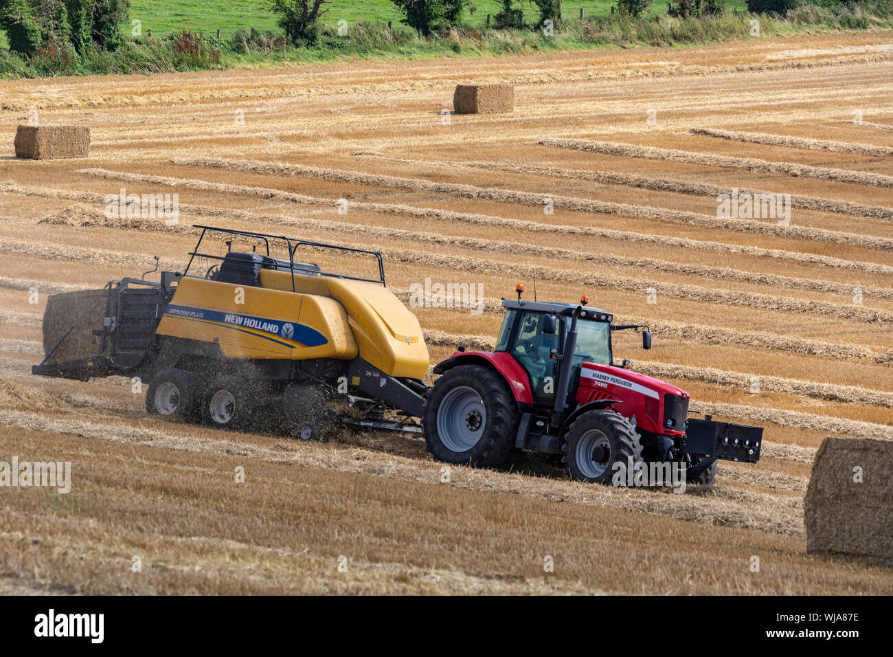 Imballatrice - macchine agricole utilizzate per comprimere un taglio e rastrellata crop (quali fieno, cotone, le paglie di lino, Salt Marsh, di fieno o insilato) in balle compatte che Foto Stock