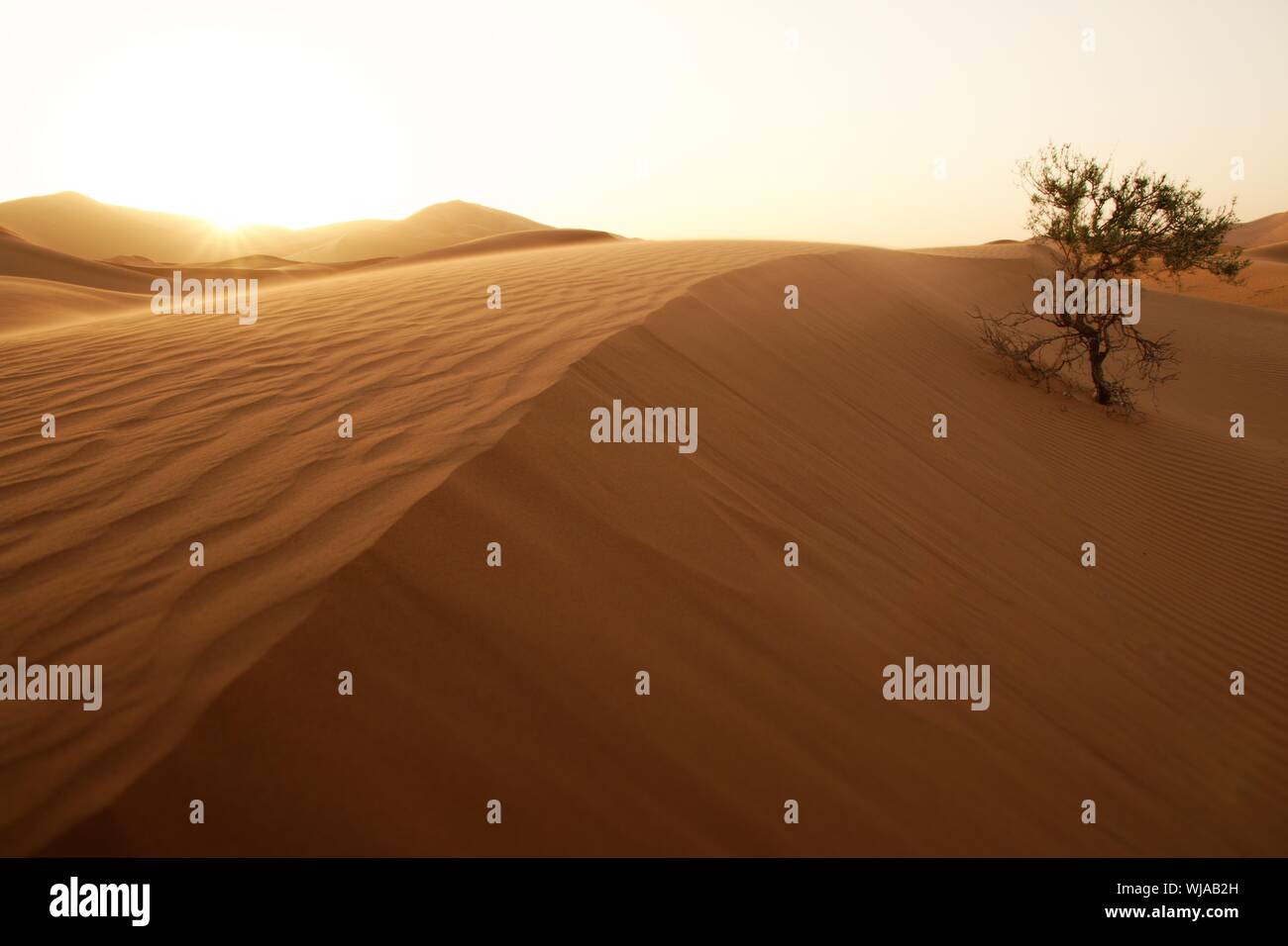 Sahara dune di sabbia di Erg Chebbi Marocco Foto Stock