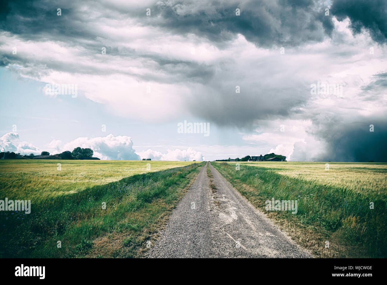 Paesaggio rurale con nuvole scure su una campagna road con fiori selvaggi lungo la strada Foto Stock