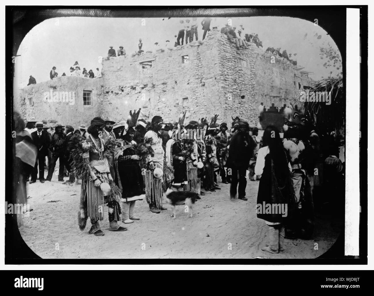 Harvest Dance, Hopi indiani Foto Stock
