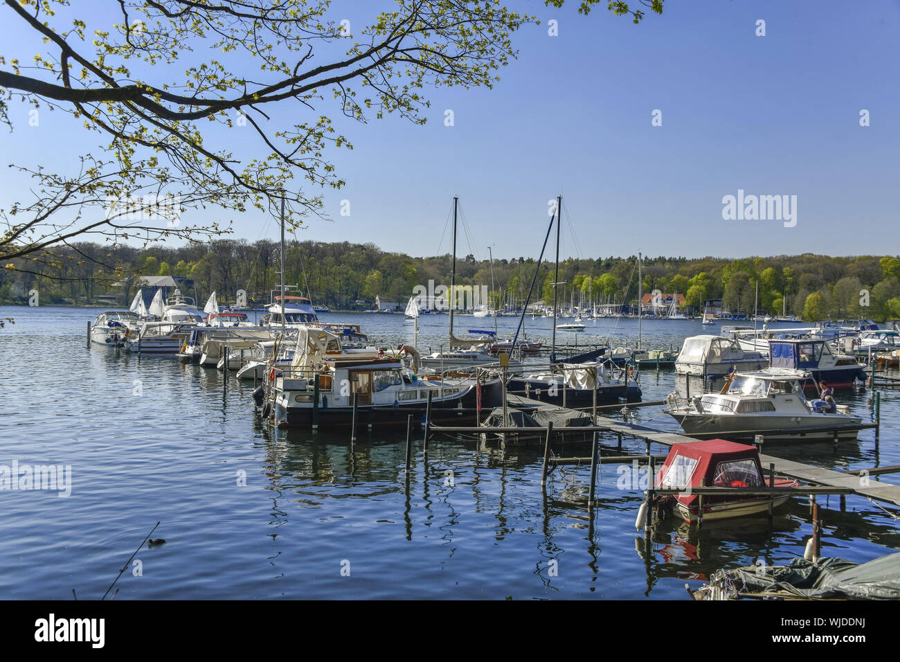 Investor, Berlino, Berlino-Tegel, barca, imbarcazioni, investitori, imbarcadero, pontili, Germania, big Malche, big Malche, porto, ormeggi, moorin Foto Stock