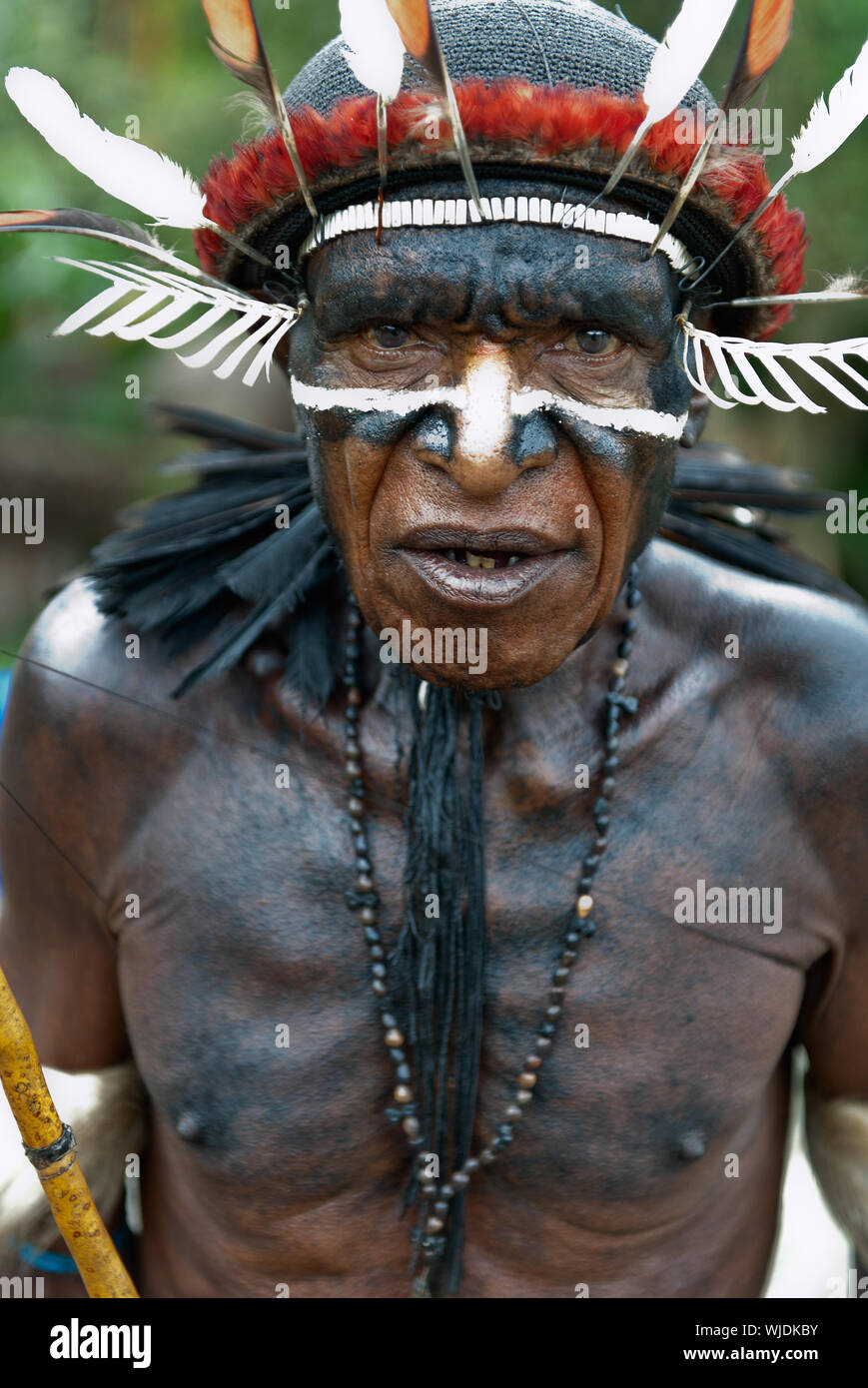 DUGUM DANI VILLAGE, Irian Jaya, Nuova Guinea, Indonesia - 20 giugno: Dugum Dani Warrior ritratto. Giugno 20, 2012 Il Baliem Valley Papua o Irian Jaya Indo Foto Stock