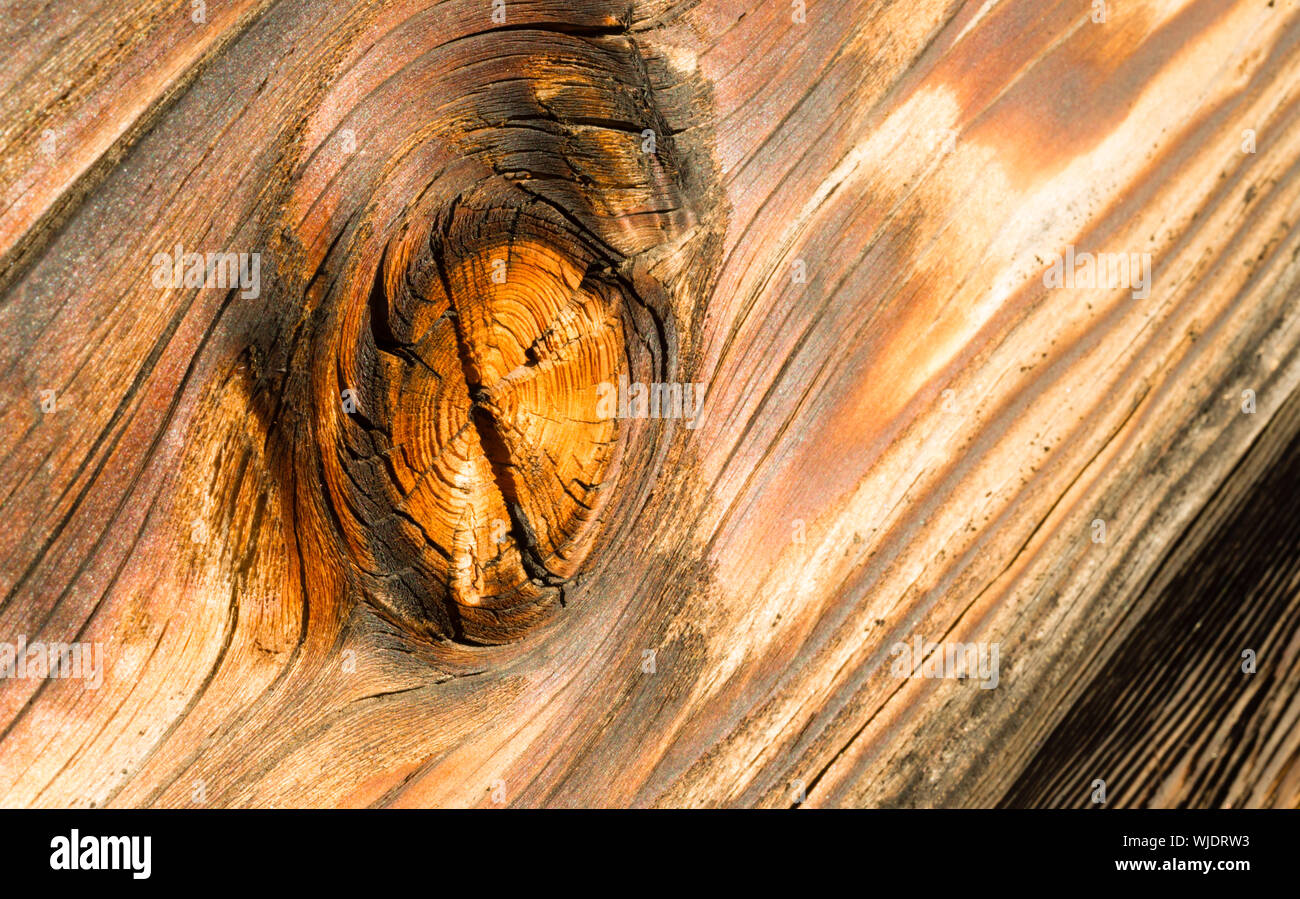 Interessante meteo arancione asse di legno con un grosso nodo Foto Stock