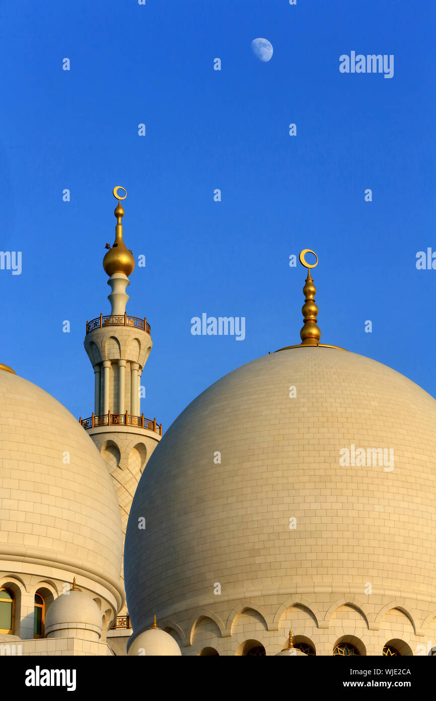 Mosquée Sheikh Zayed. 1995. Abou Dhabi. / Moschea Sheikh Zayed. 1995. Emirato di Abu Dhabi. Foto Stock