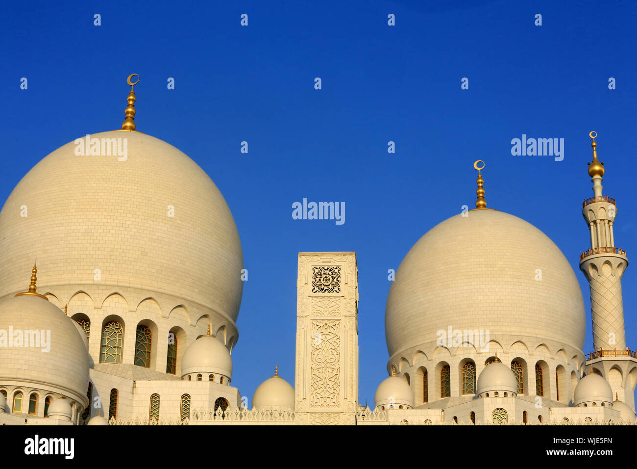 Mosquée Sheikh Zayed. 1995. Abou Dhabi. / Moschea Sheikh Zayed. 1995. Emirato di Abu Dhabi. Foto Stock