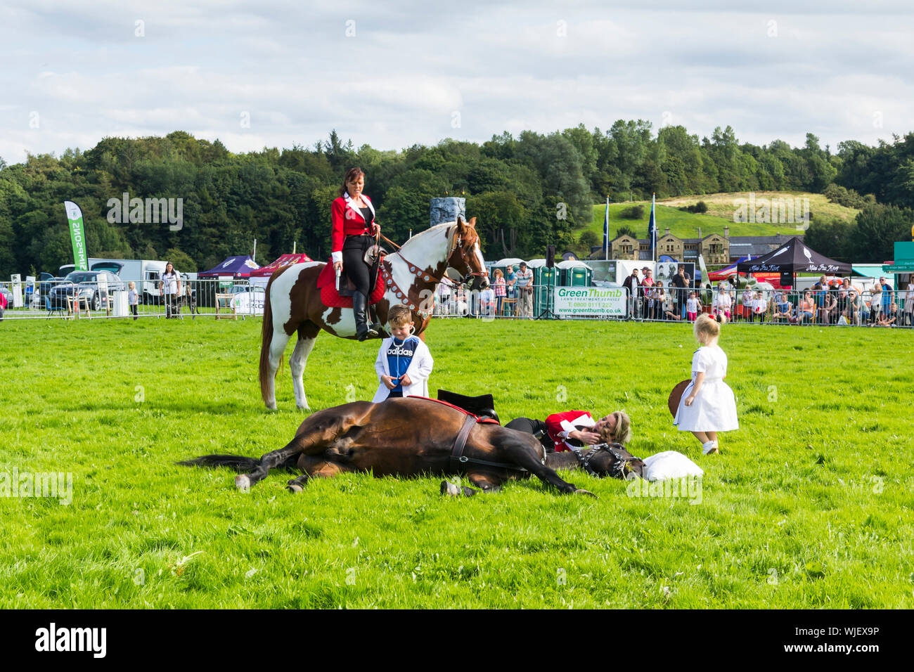 Equitazione i membri degli stalloni di sostanza equina team display presso il Royal Show del Lancashire 2017. Essi sono la dimostrazione di film stunt lavorare con Foto Stock