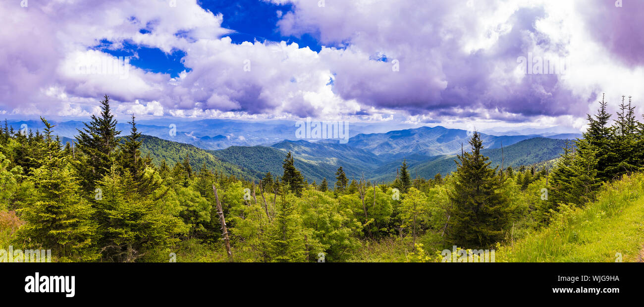 180 panorama gradi di Appalacian Montagne di North Carolina e Tennessee. Foto Stock