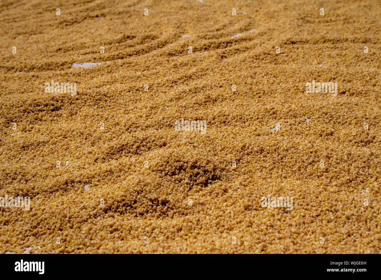 Bulgur per utilizzare come immagine di sfondo o come texture Foto Stock