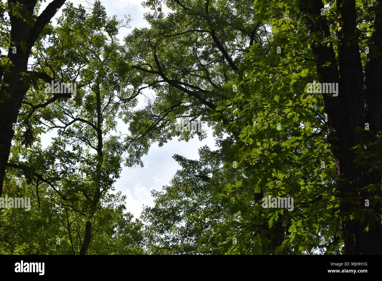 Pittsburgh Foto Stock