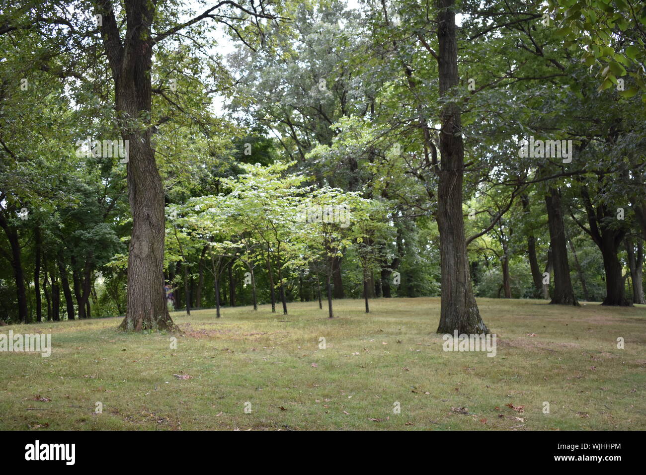 Pittsburgh Foto Stock