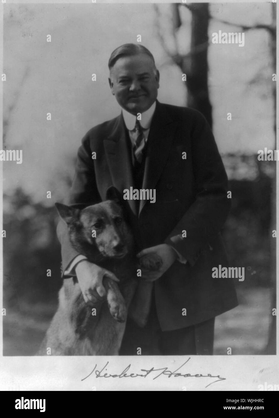 Herbert Hoover e mezza lunghezza ritratto, tenendo cane grande da gambe anteriori, rivolto verso la parte anteriore Foto Stock