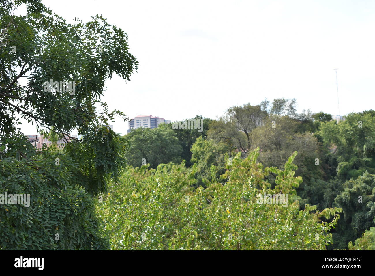 Pittsburgh Foto Stock