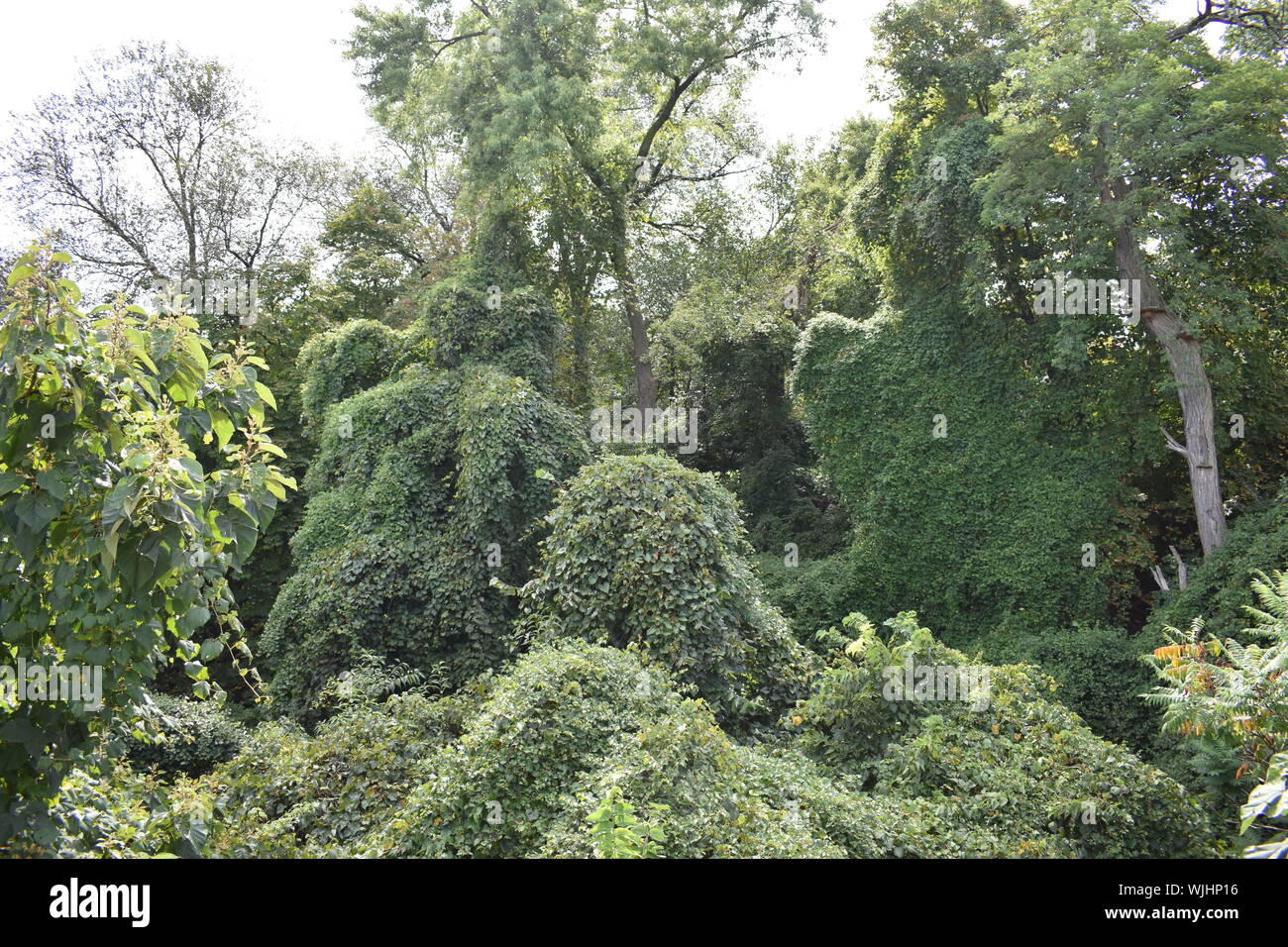 Pittsburgh Foto Stock