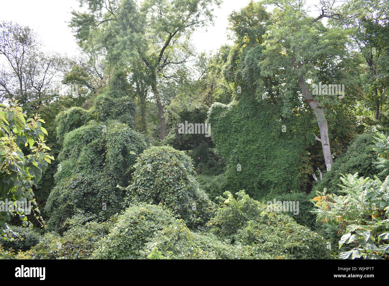 Pittsburgh Foto Stock