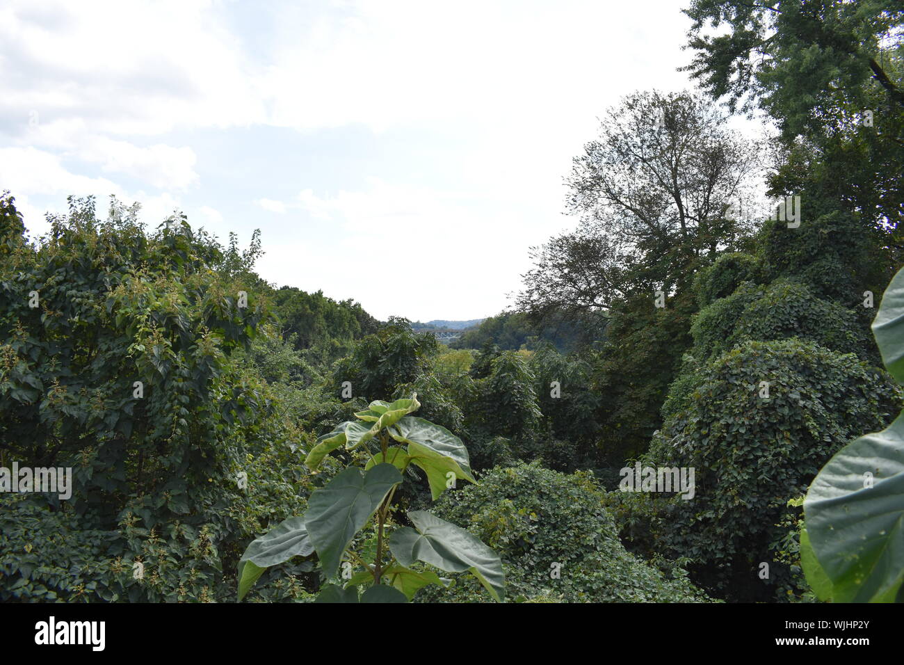 Pittsburgh Foto Stock