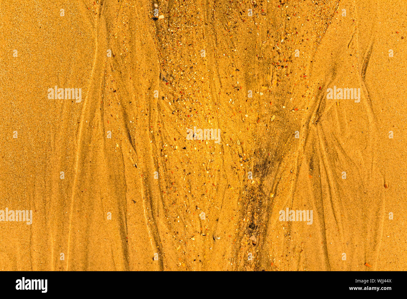 Close-up di sabbia con modi di marea e conchiglie sulla spiaggia, piena di tessitura del telaio Foto Stock