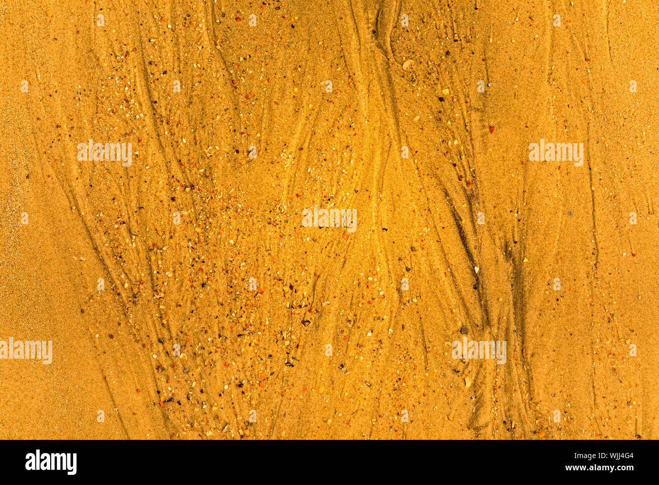 Close-up di sabbia con modi di marea e conchiglie sulla spiaggia, piena di tessitura del telaio Foto Stock
