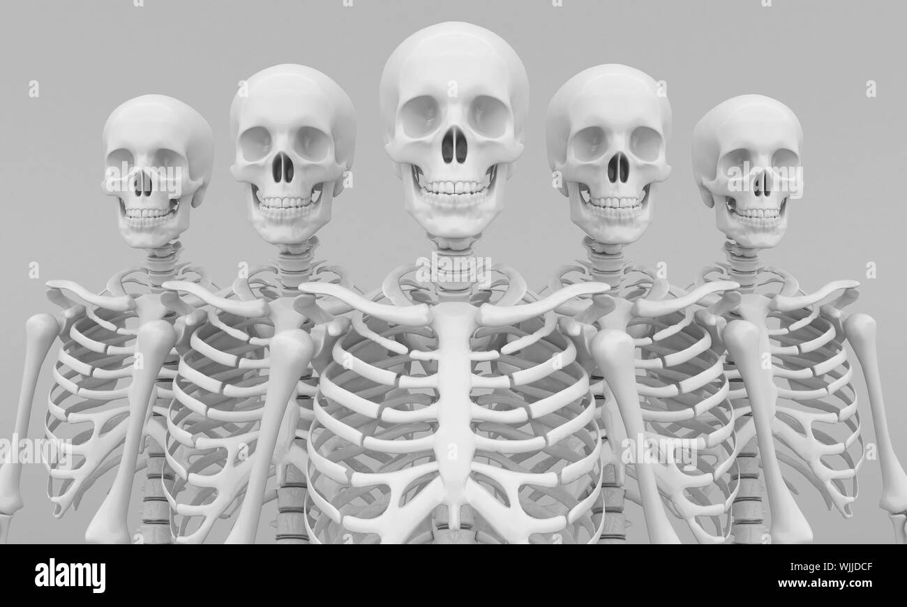 Modello di scheletro su sfondo grigio Foto Stock
