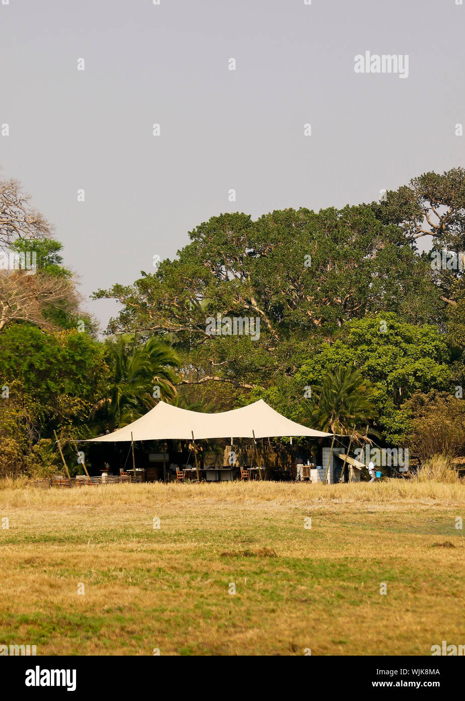 Campeggio in Busanga Plains. Parco Nazionale di Kafue. Zambia Foto Stock