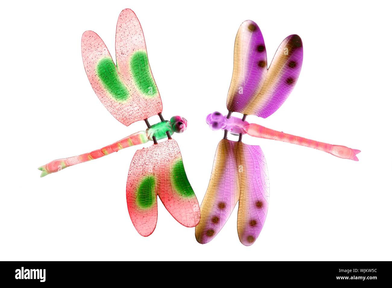 Due coloratissimi dragonfly insetti volanti isolati su bianco Foto Stock